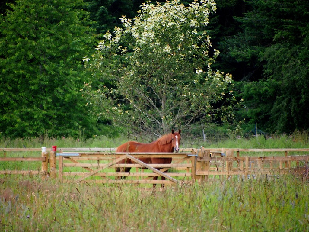 [16%2520July%25201%255B3%255D.jpg]