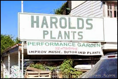 harolds