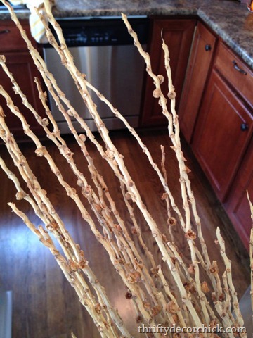 [decorative%2520sticks%255B7%255D.jpg]