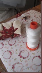 IMG_2608 IMG_2608