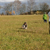 BP-2010-podzimko-1106-016.jpg