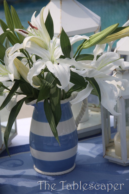 Nantucket Blues 043