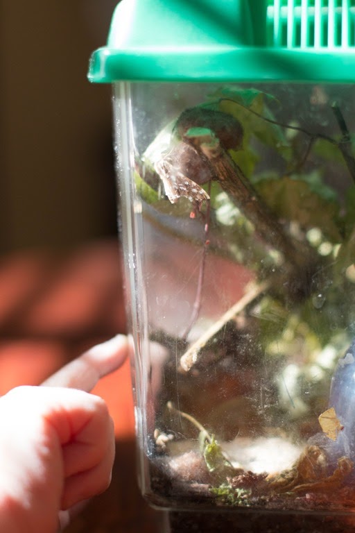 [IMG_8956%255B3%255D.jpg]