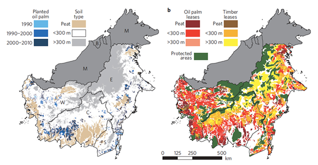 Planted oil palm, oil palm leases, timber leases, and protected areas in Kalimantan. Carlson, et al., 2012