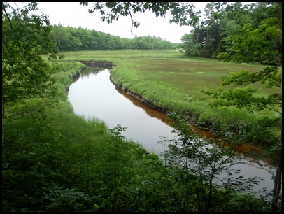 Rachel Carson and Wells Estuary 039