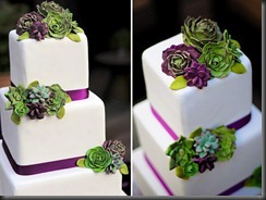 succulent-wedding-cake-erica-obrien-1 june bug weddings