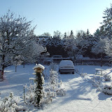 Garten: Winterimpressionen