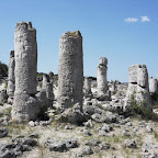 Το απολιθωμένο δάσος Pobiti Kamani