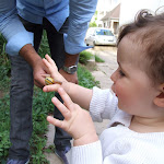 DSCF9136.JPG