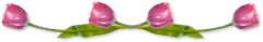 linhaET_Tuto9 linhaET_Tuto9