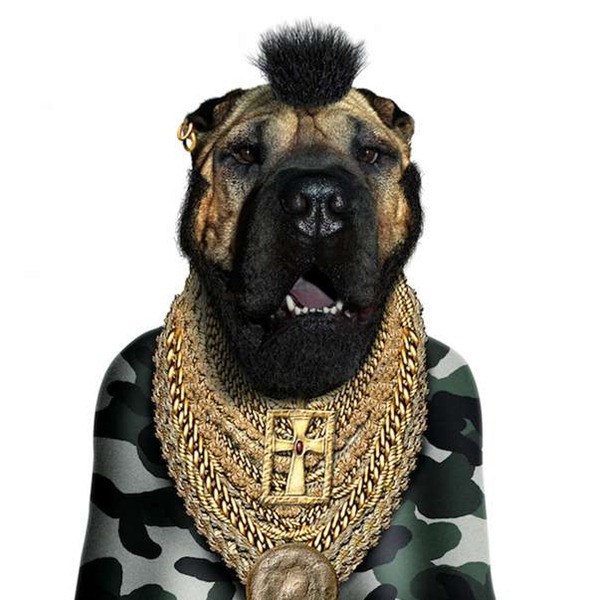 [perros%25204%255B3%255D.jpg]