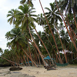 DSC01701.JPG