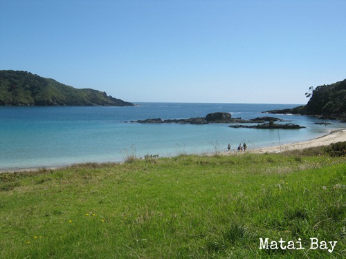 Matai bay