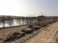 dsc06949.jpg