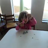 fotos diversas 166.jpg