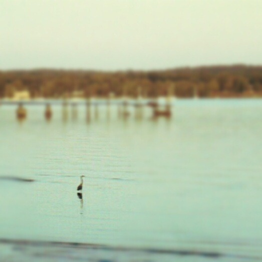 [IMG_20120628_063615%255B4%255D.jpg]