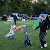 Agility - Turnier 2010 070.jpg