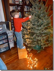 2011-12-19 decorating tree 002