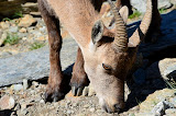 DSC_0197.JPG