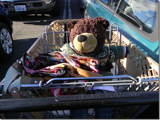 in the cart at safeway 112112