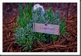 GardenMarker110626-1