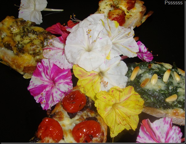 DSC04564 DSC04564