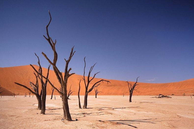 deadvlei-1