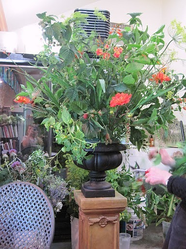 [7A-francoiseIMG_45464.jpg]