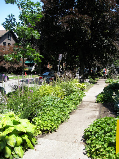When a resident takes the initiative to plant in the easement or 