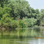 IMG_7757.JPG