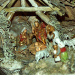 1299-1.jpg 1299-1.jpg