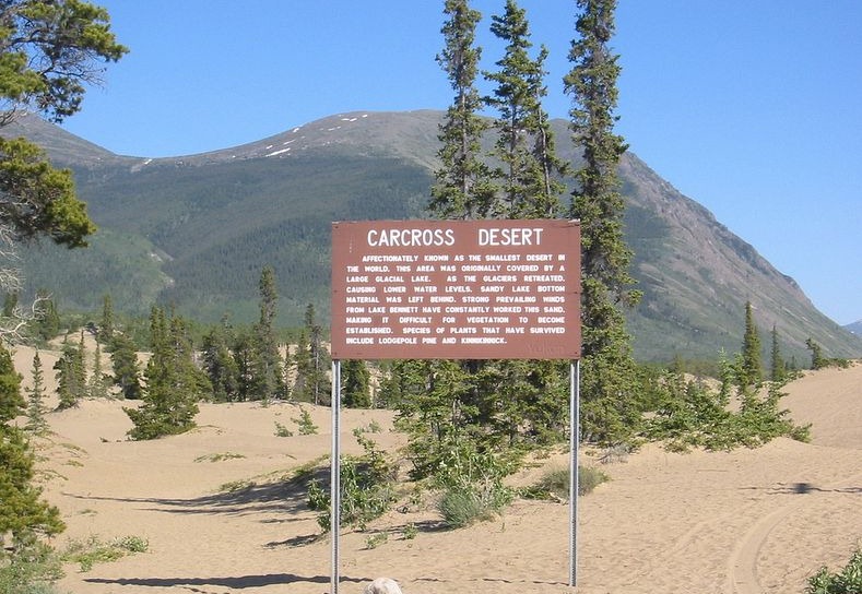 carcross-desert-1 carcross-desert-1