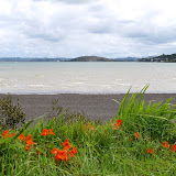 Whangarei Whangarei