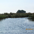 IMG_7981.JPG