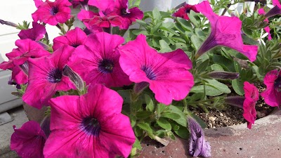 2014-07-01 08.29.27.jpg