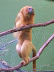 National Zoo in August