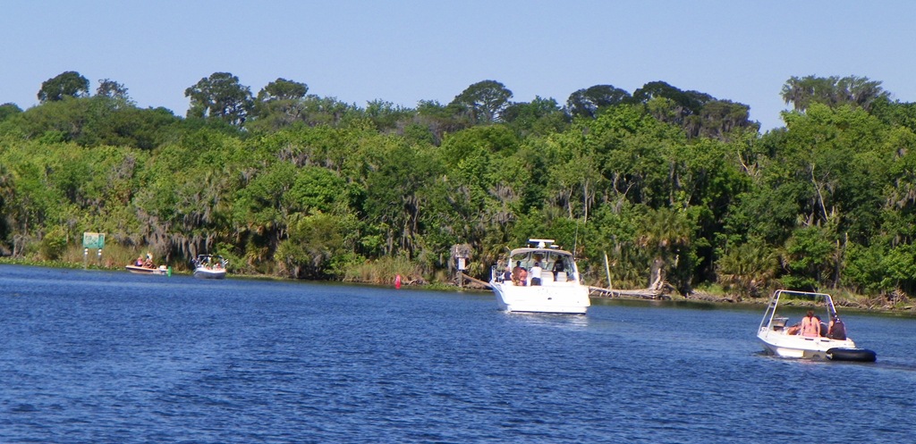 [St%2520Johns%2520River%2520066cs%255B3%255D.jpg]