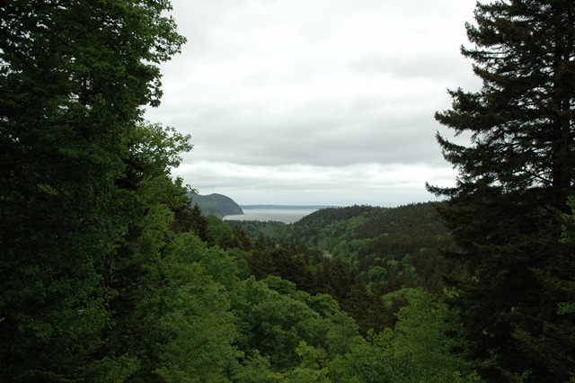[DSC_0219%255B3%255D.jpg]
