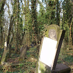 Cmentarz_zydowaki_w_Czestochowie_06..JPG