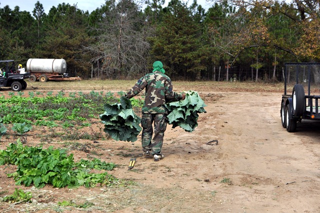 [fall%2520produce%25201112%2520%252839%2529%255B3%255D.jpg]