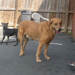 DSCN4933.jpg