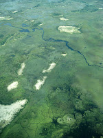 Flight from Chobe to Okavango Delta - Botswana