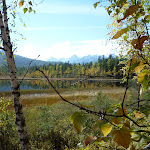 Автор Лариса Сурнина Лариса Сурнина__.jpg