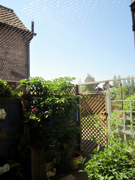 [interior%25203%255B4%255D.jpg]