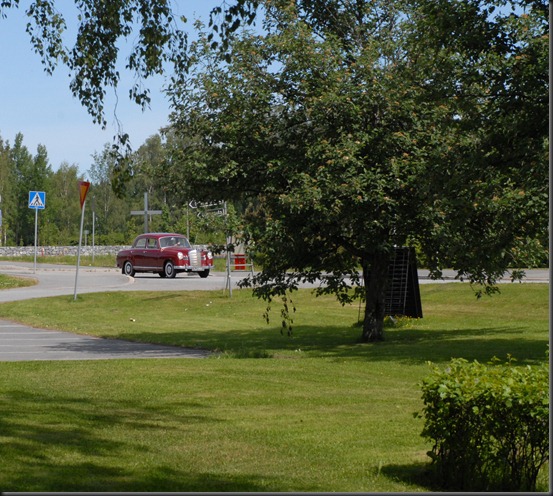 ötököitä vihreä hyönteinen iholla 084 ötököitä vihreä hyönteinen iholla 084