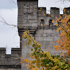 DSC_8346-2.jpg