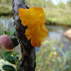 DSC06417.JPG