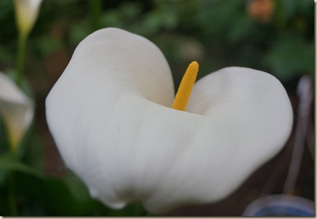 DSC00440