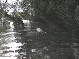 Dalla foto non si nota, ma quello che si muove è un coccodrillo. Nel fiume dietro al bungalow... O_o