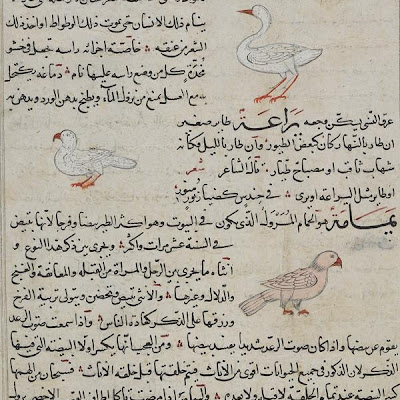 Folio from Aja'ib al-Makhluqat (Wonders of Creation) by al-Qazvini; recto: Mountain Swallow ( Watwat ), Gerboa ( Yara'a ), Wild Pigeon ( Yamamah ); verso: text | Origin: Iraq or Eastern Turkey | Period: early 15th century | Details: Not Available | Type: Opaque watercolor, ink and gold on paper | Size: H: 32.7 W: 22.4 cm | Museum Code: F1954.109 | Photograph and description taken from Freer and the Sackler (Smithsonian) Museums. b2c2ecb0014744e0b46f80602328c757.jpg